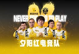 米兰体育平台登录入口-《职业战队的运作模式揭秘》